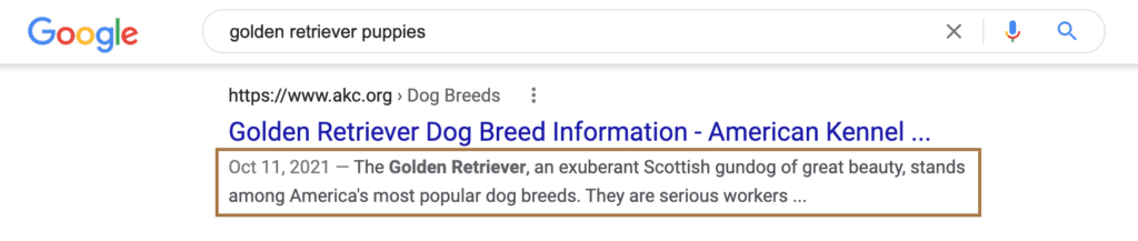 An example of a meta description for the search term "golden retriever puppies."